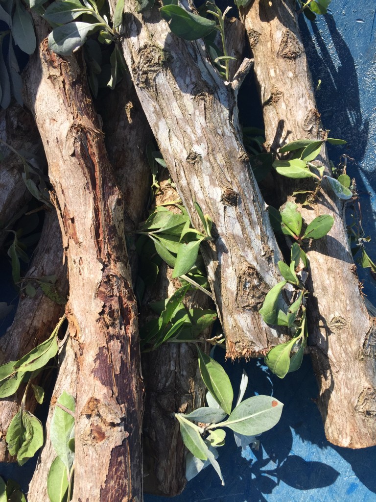 Future community spoons